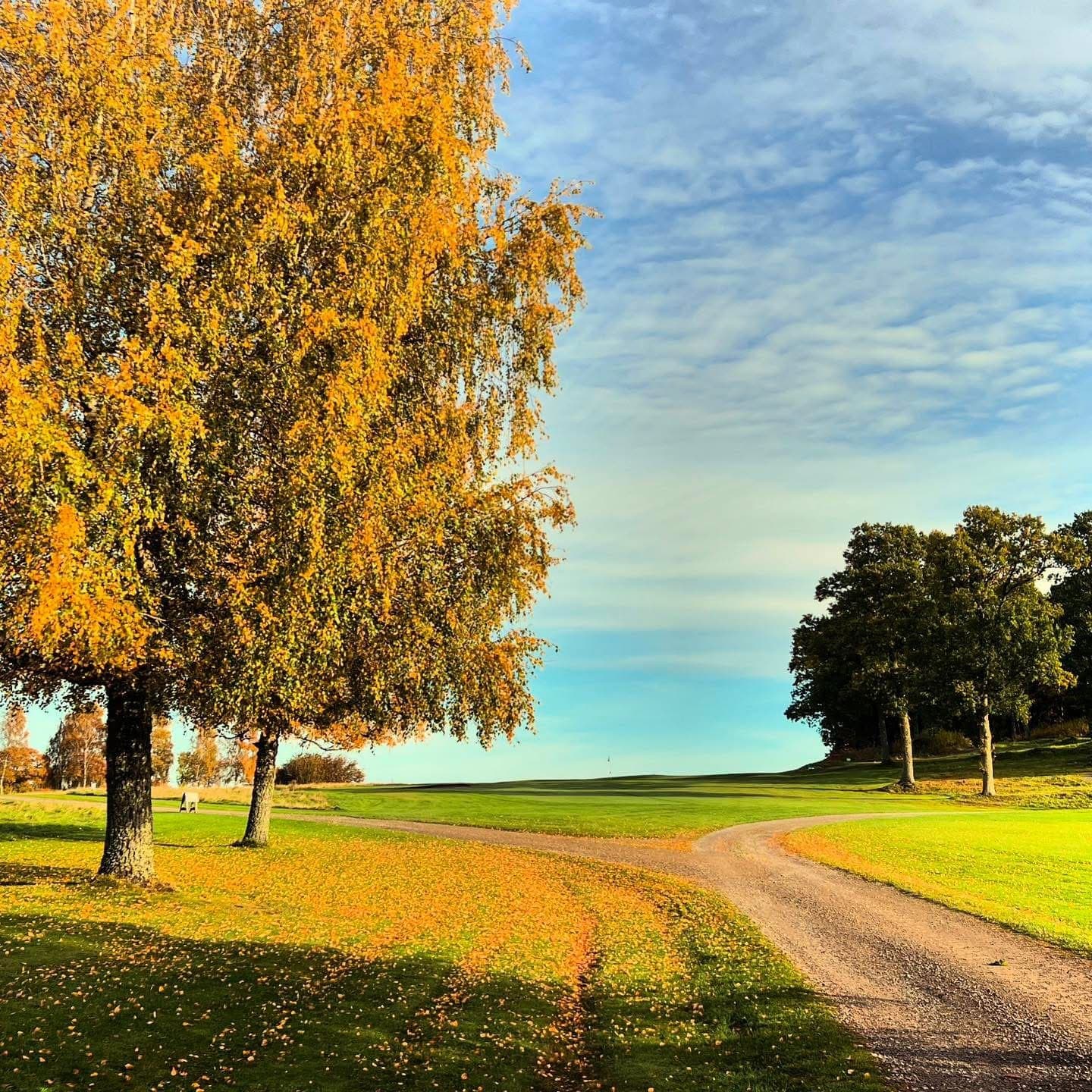 Ale Golfklubb logotyp