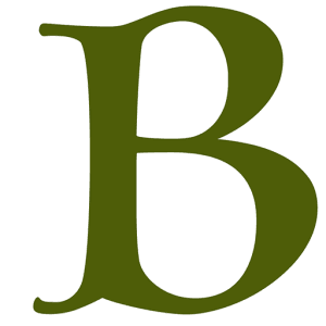 BernöTrädgårdsmaskiner.se logotyp