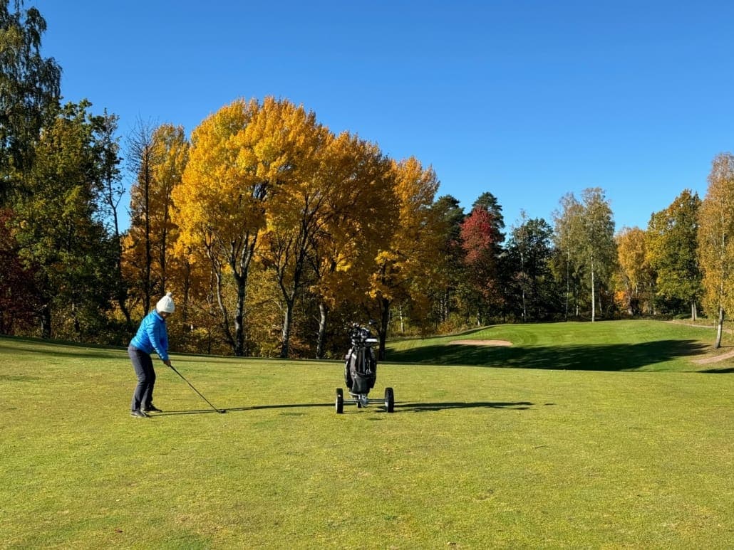 Billingens Golfklubb logotyp
