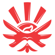 Borlänge Kampsport logotyp