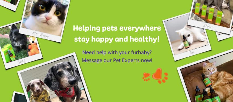 NHV Natural Pet Products logotyp