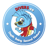 DIVERS.se logotyp