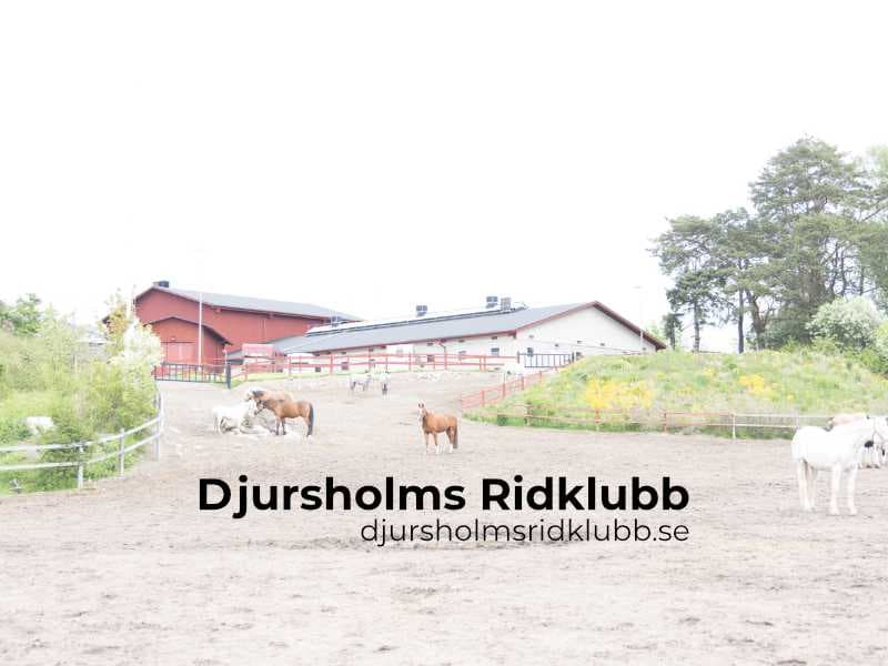 Djursholms Ridklubb logotyp