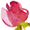 Florister i Sverige logotyp