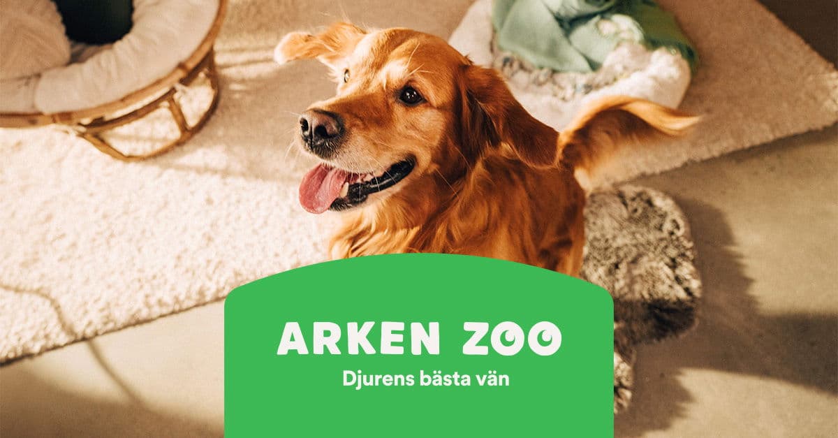 Arkenzoo.se logotyp