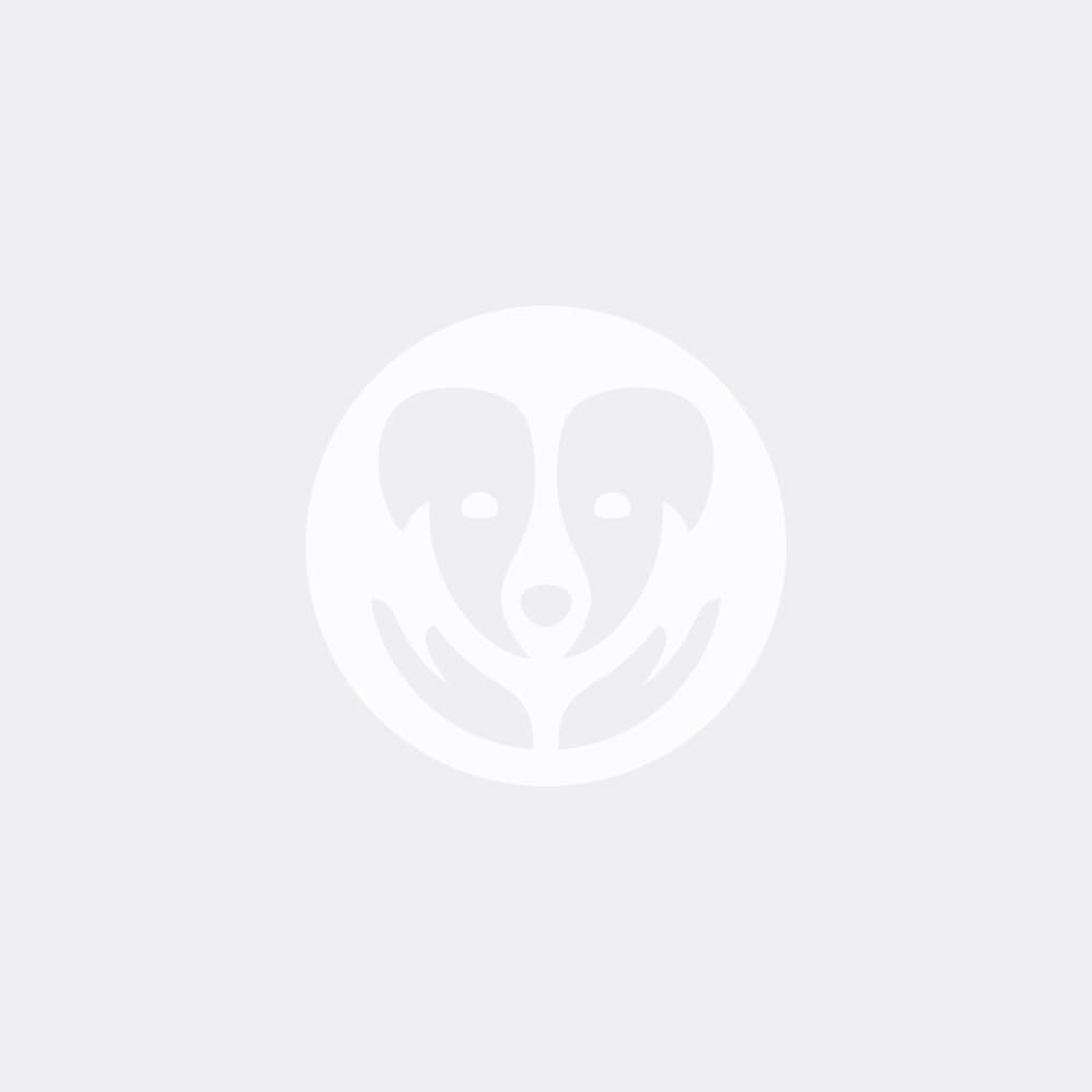 Hundstallet logotyp