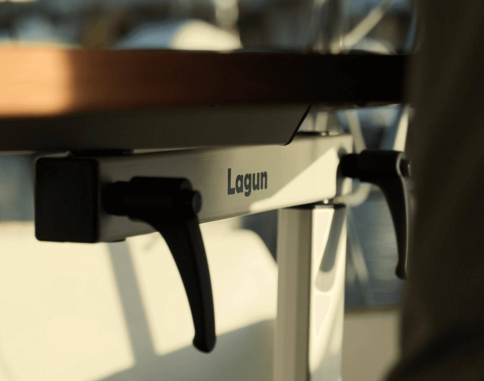 Lagun Official logotyp
