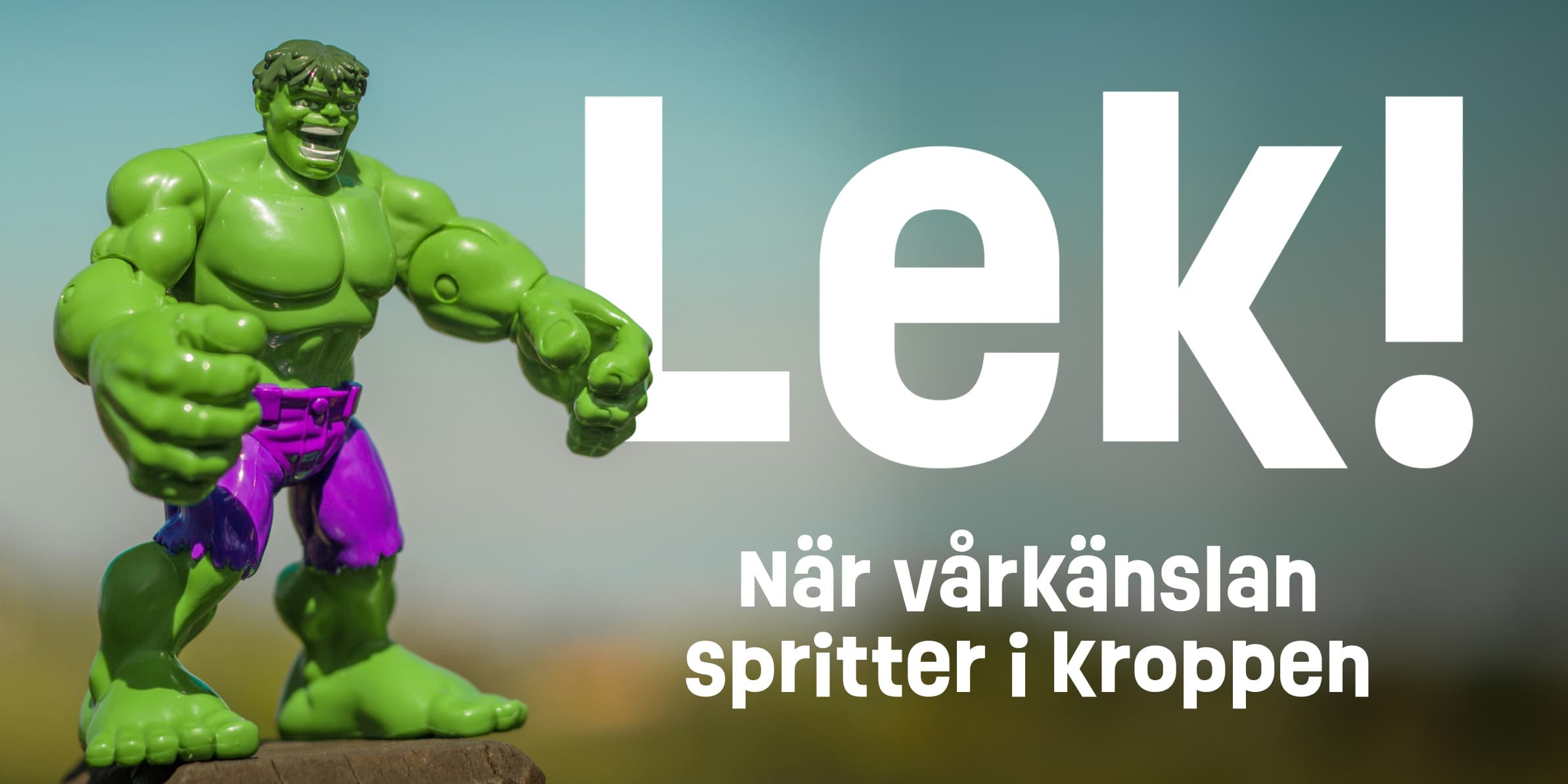 Leksaker logotyp