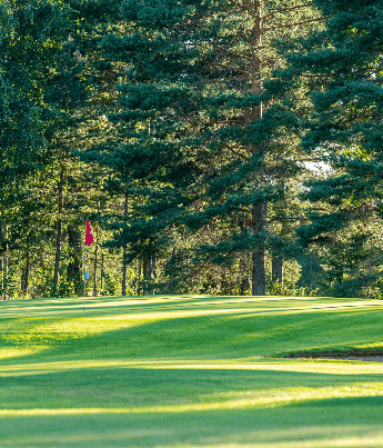 Mora Golfklubb logotyp