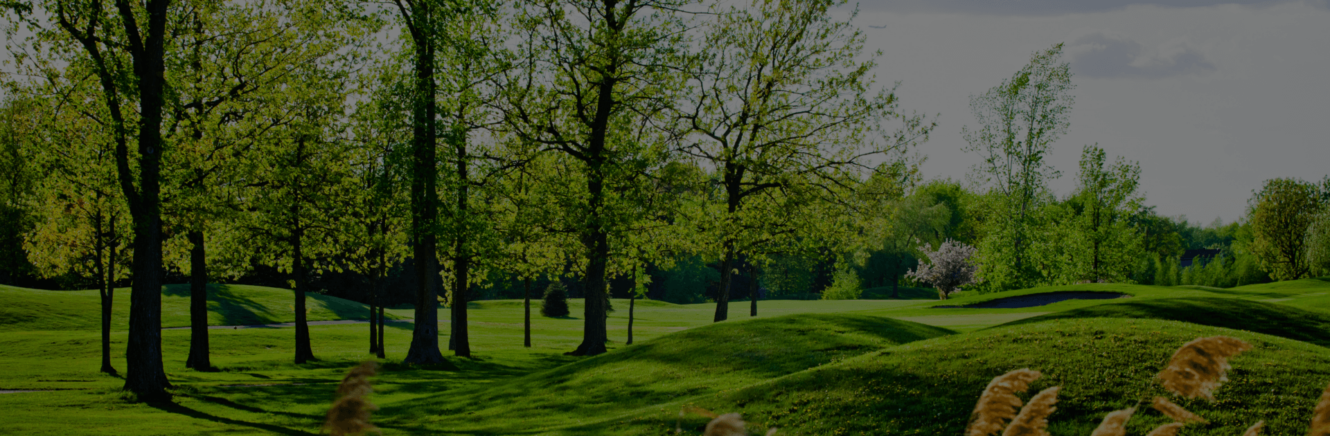 Nicklastorp Golfklubb logotyp