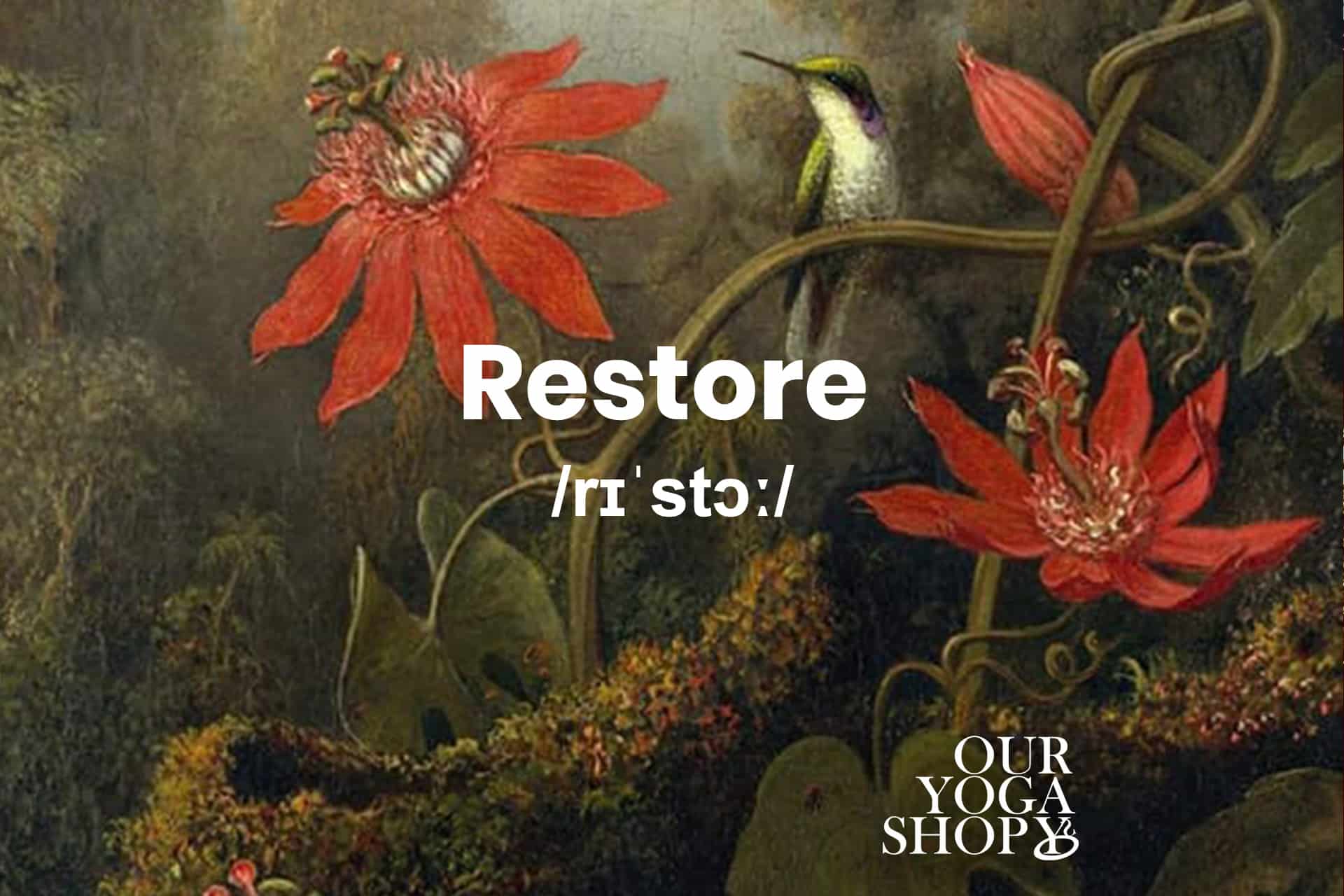 OurYogaShop logotyp