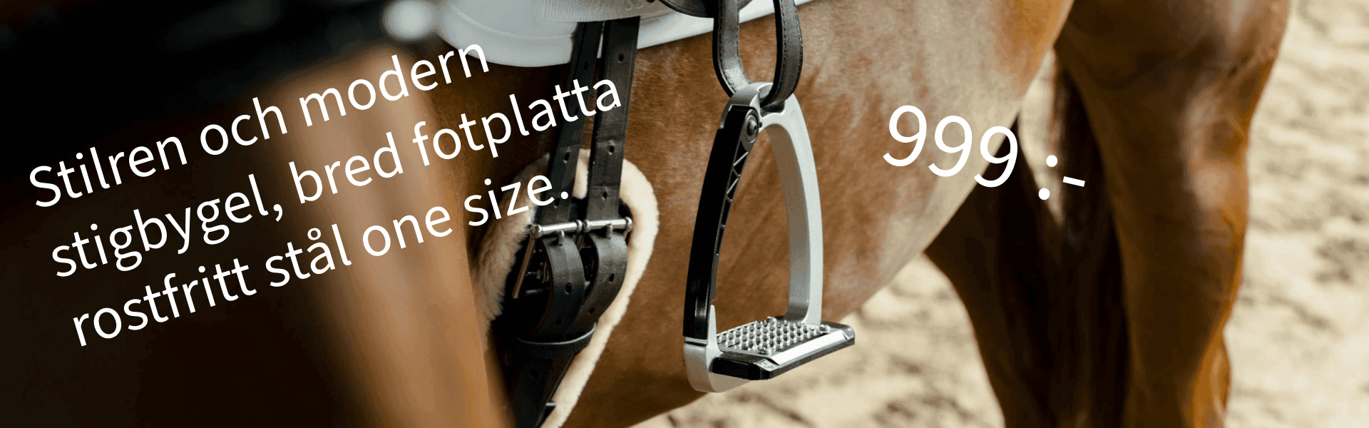 Ryttare och Häst ridsport logotyp