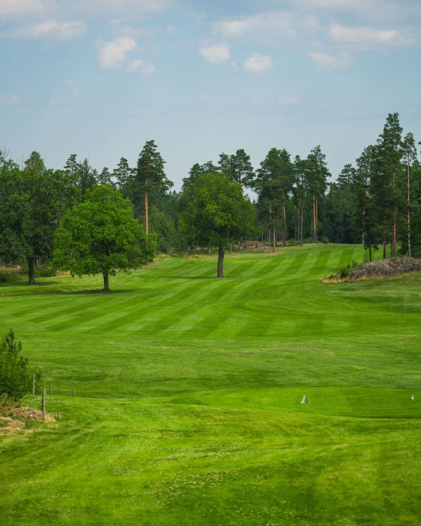 Strängnäs Golfklubb logotyp