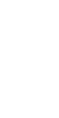 Viruseptin logotyp