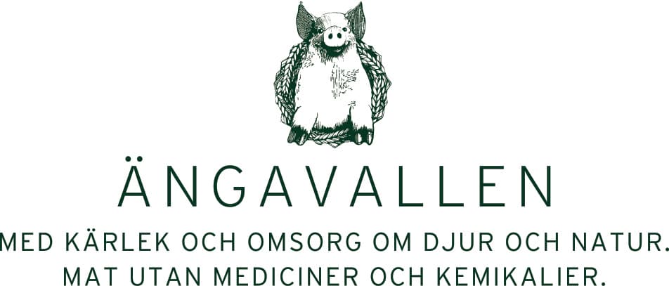 Ängavallen logotyp