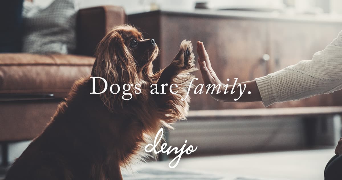 Denjo Dogs logotyp