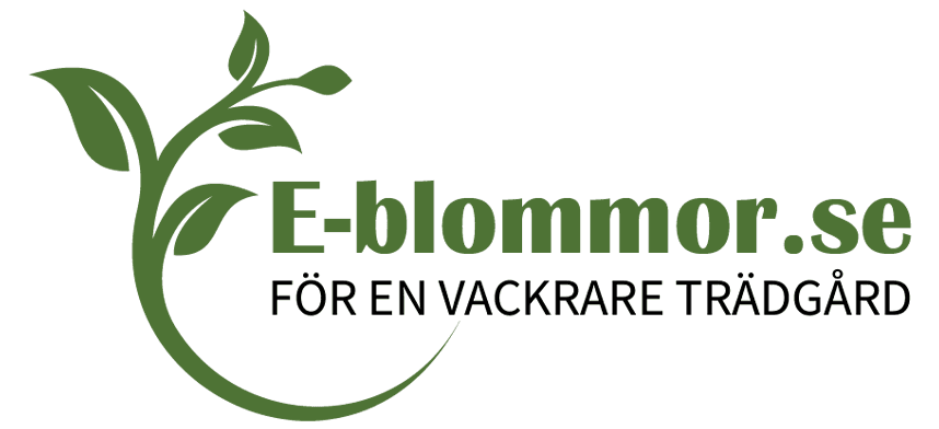 blommor.se logotyp