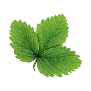 Hasselforsgarden.se logotyp