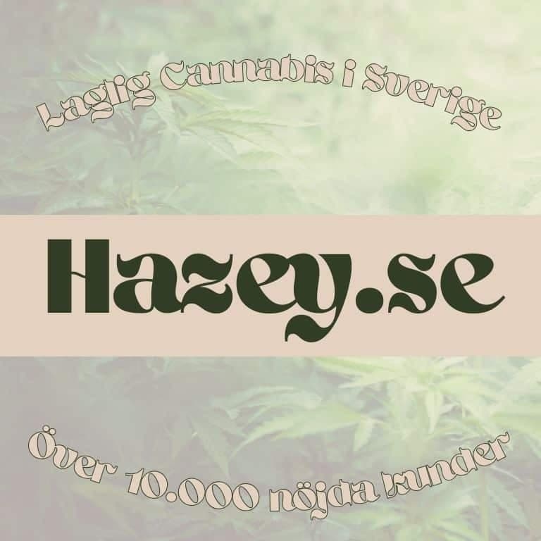 Hazey.se logotyp