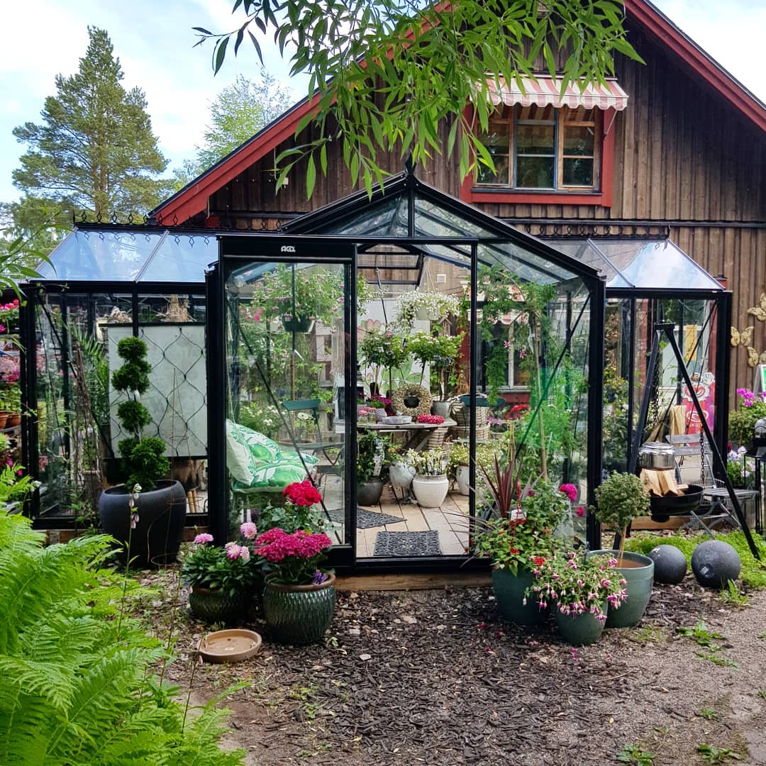 Piteå handel & trädgård logotyp