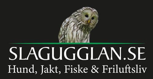 Slagugglan.se logotyp