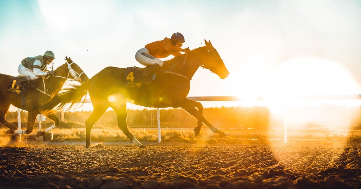 Svensk Galopp logotyp