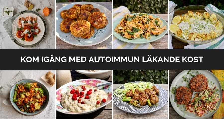 Swedish Paleo logotyp