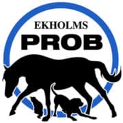 Ekholm Vision logotyp